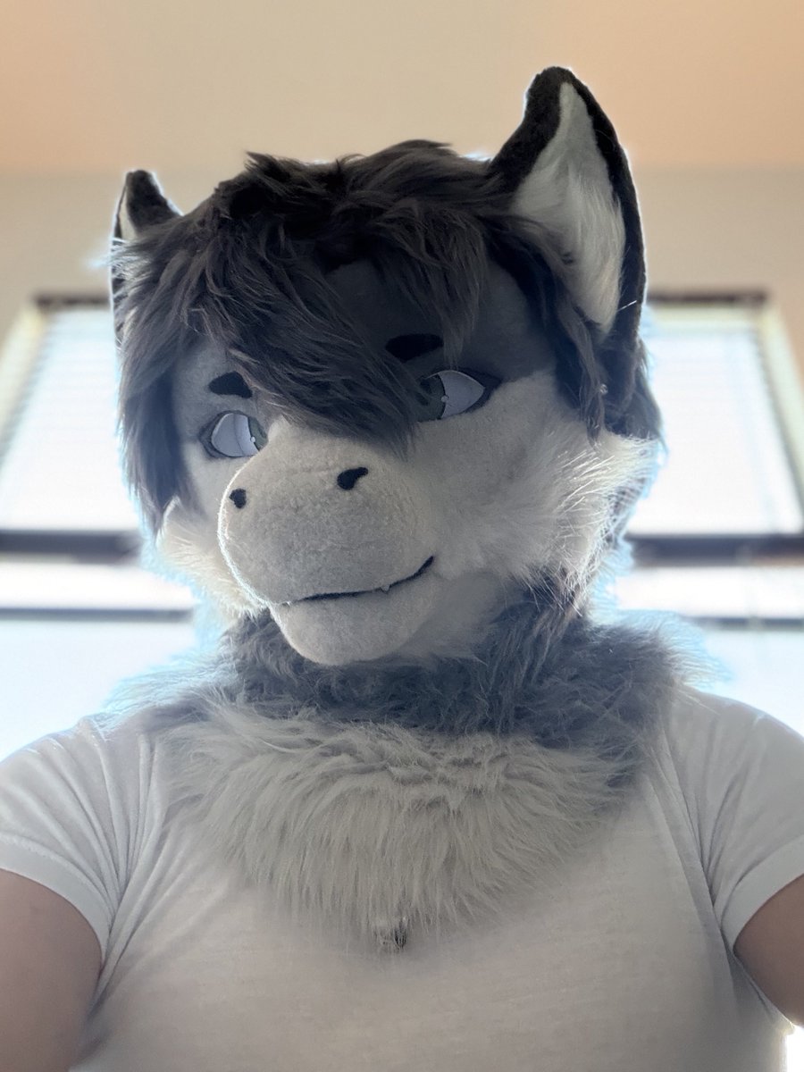 TrevyrDergo 🔜 Stratos tweet media