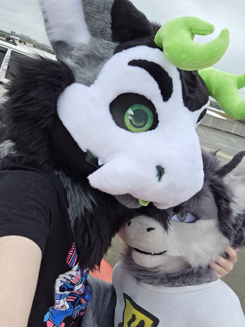 TrevyrDergo 🔜 Stratos tweet media