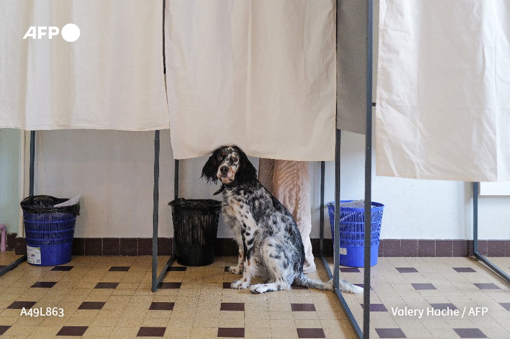 Agence France-Presse tweet media