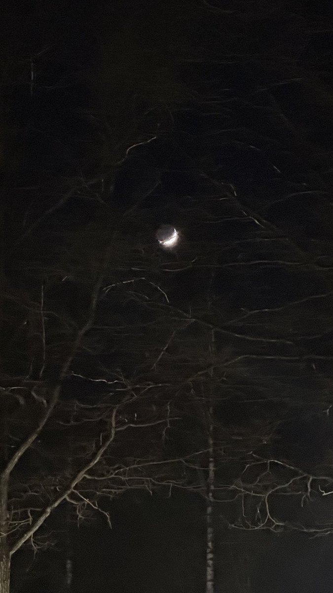 Андрей Нечаев tweet media