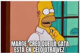 DoctoraTekate tweet media