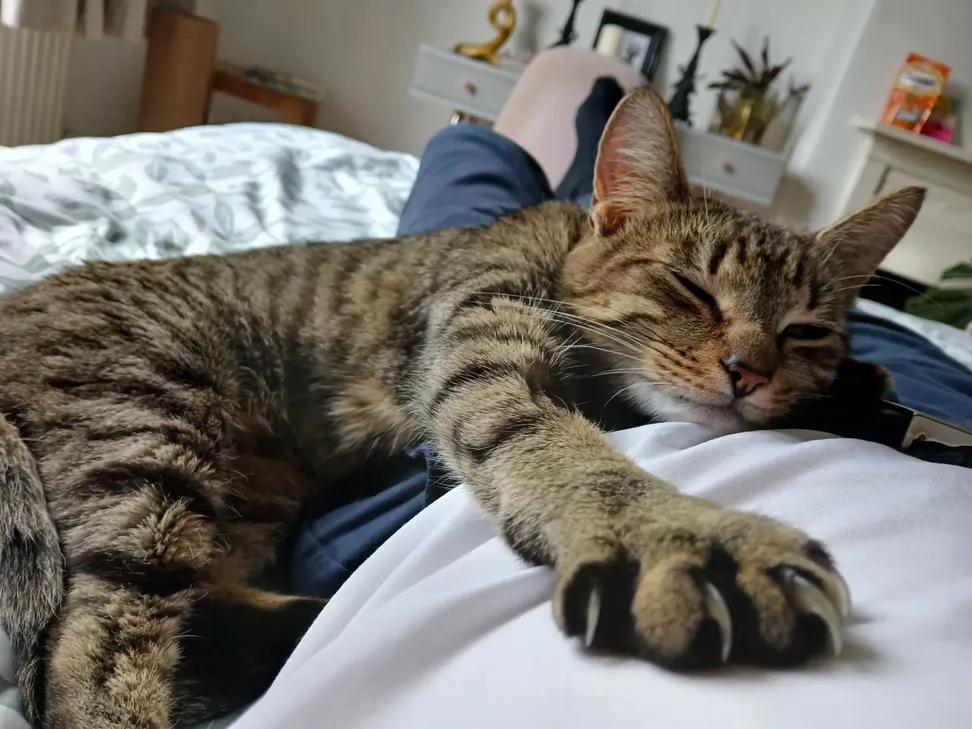 Sara Mary ⭐❤️ tweet media