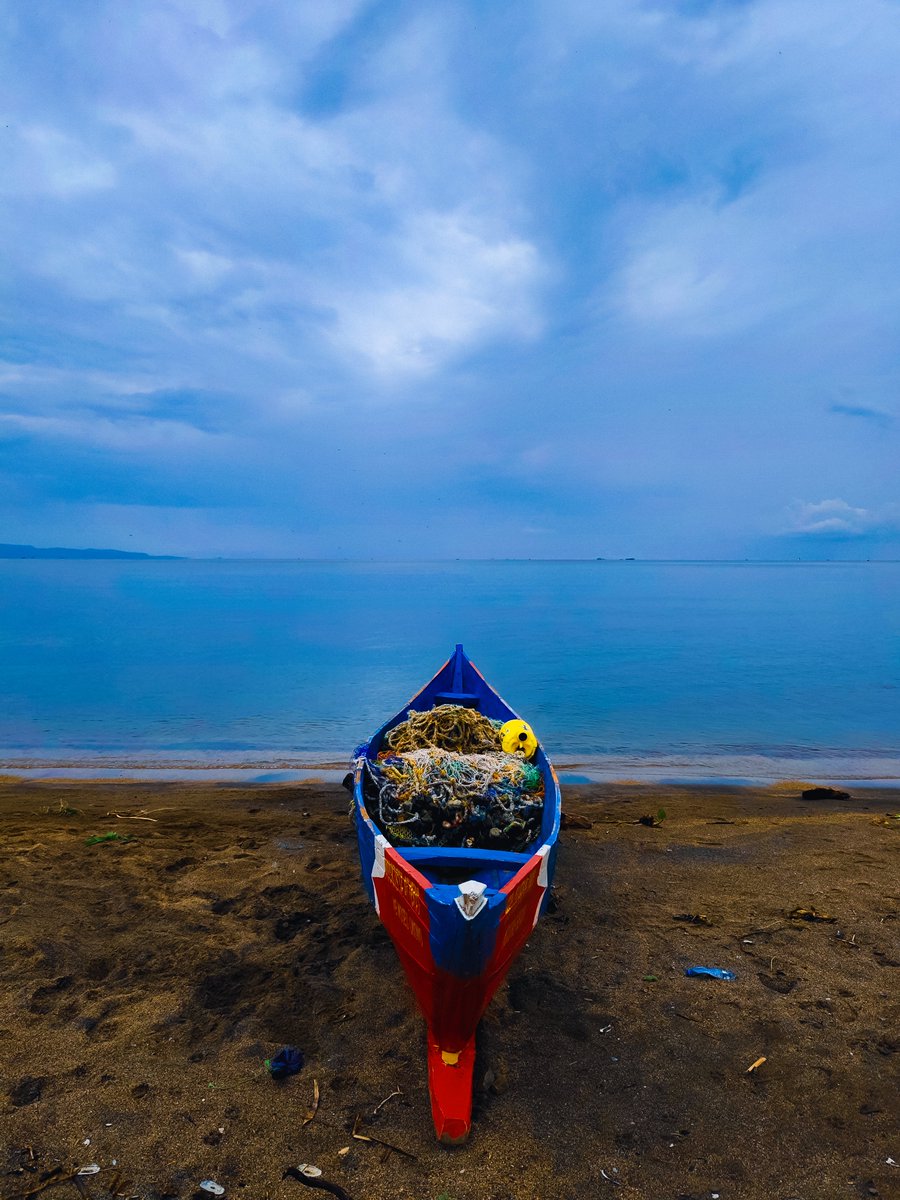 Msafiri Afrika tweet media