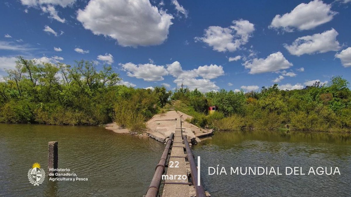 Timoteo Buffa tweet media