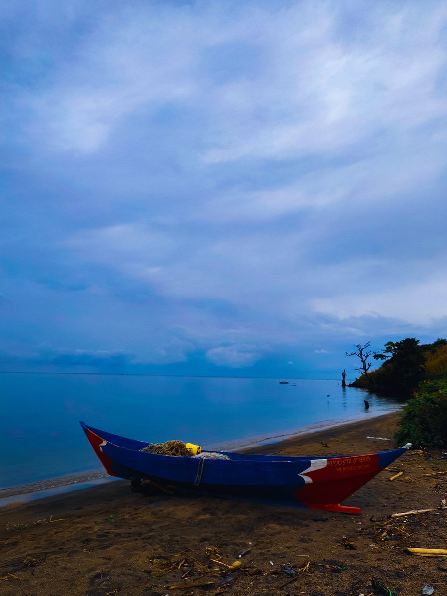 Msafiri Afrika tweet media