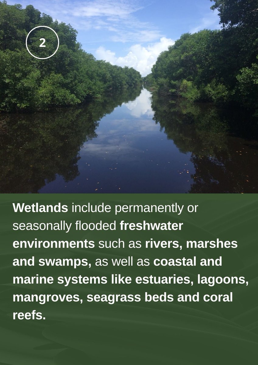 Min. of Planning, Economic Affairs and Development tweet media