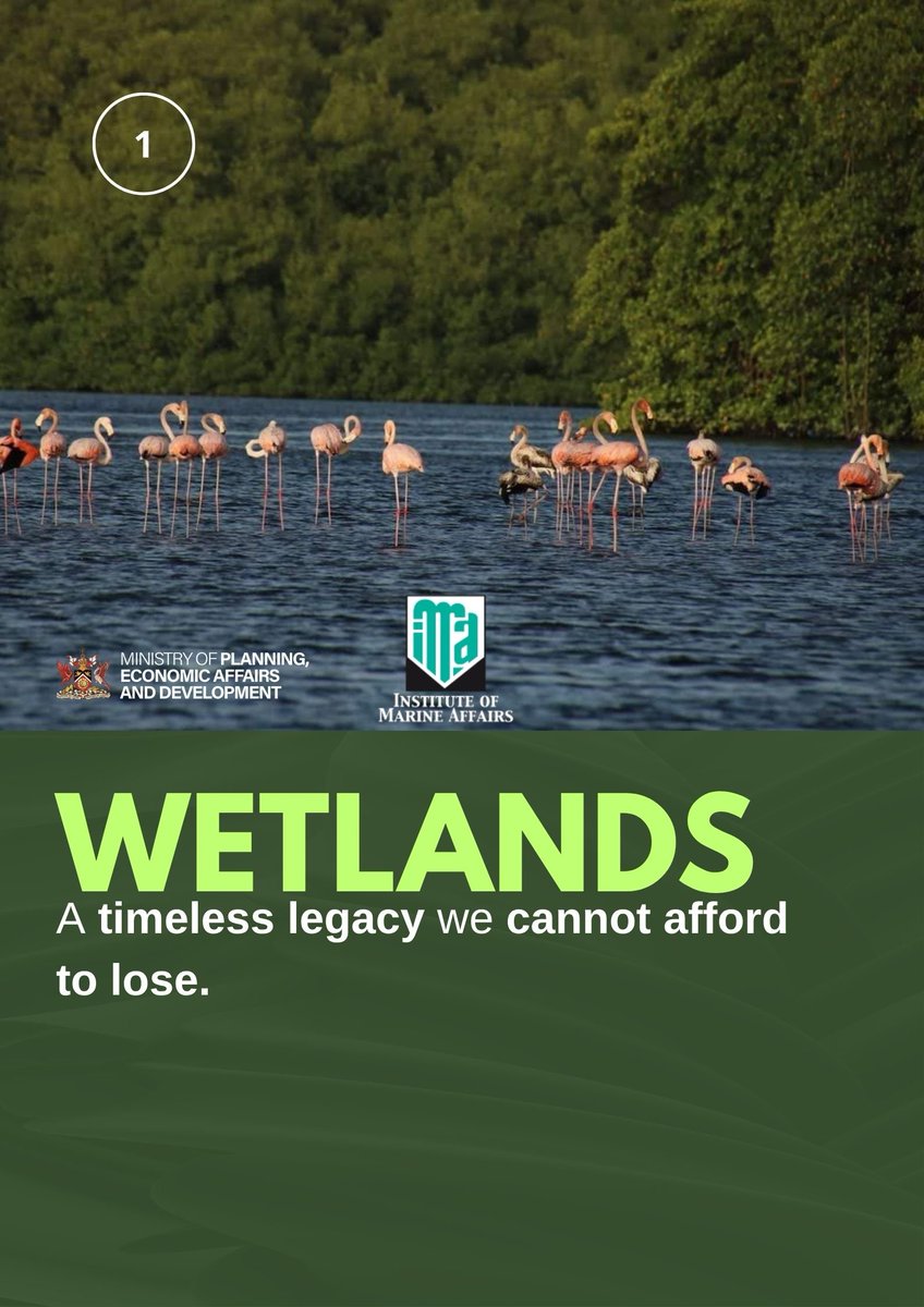 Min. of Planning, Economic Affairs and Development tweet media