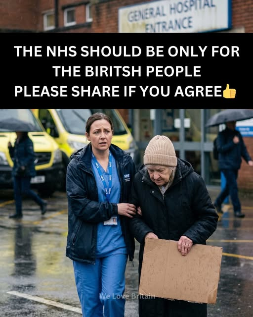 dave lawrence 🐟🐟🐠 tweet media