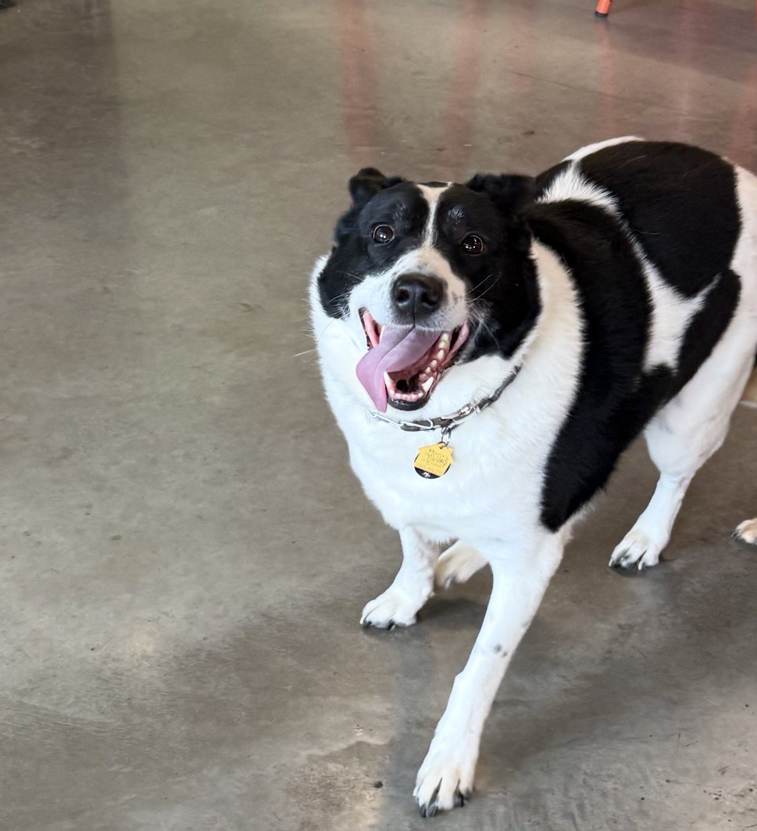 Predxican ®️™️🏊🏼‍♂️🚴‍♀️🏃🏽‍♂️🏒🥅 tweet media