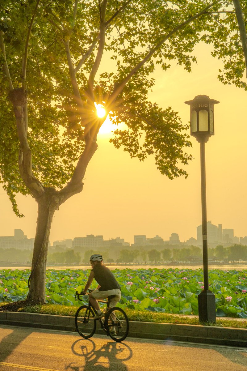 claudiney souza tweet media