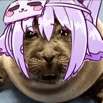 Yewfie 🦭🛜 tweet media