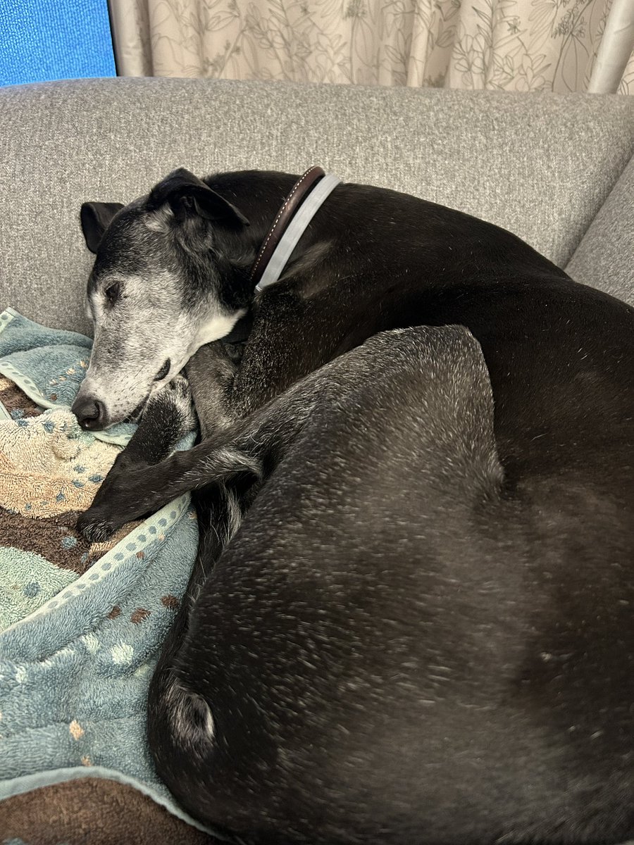 Claire Bines tweet media