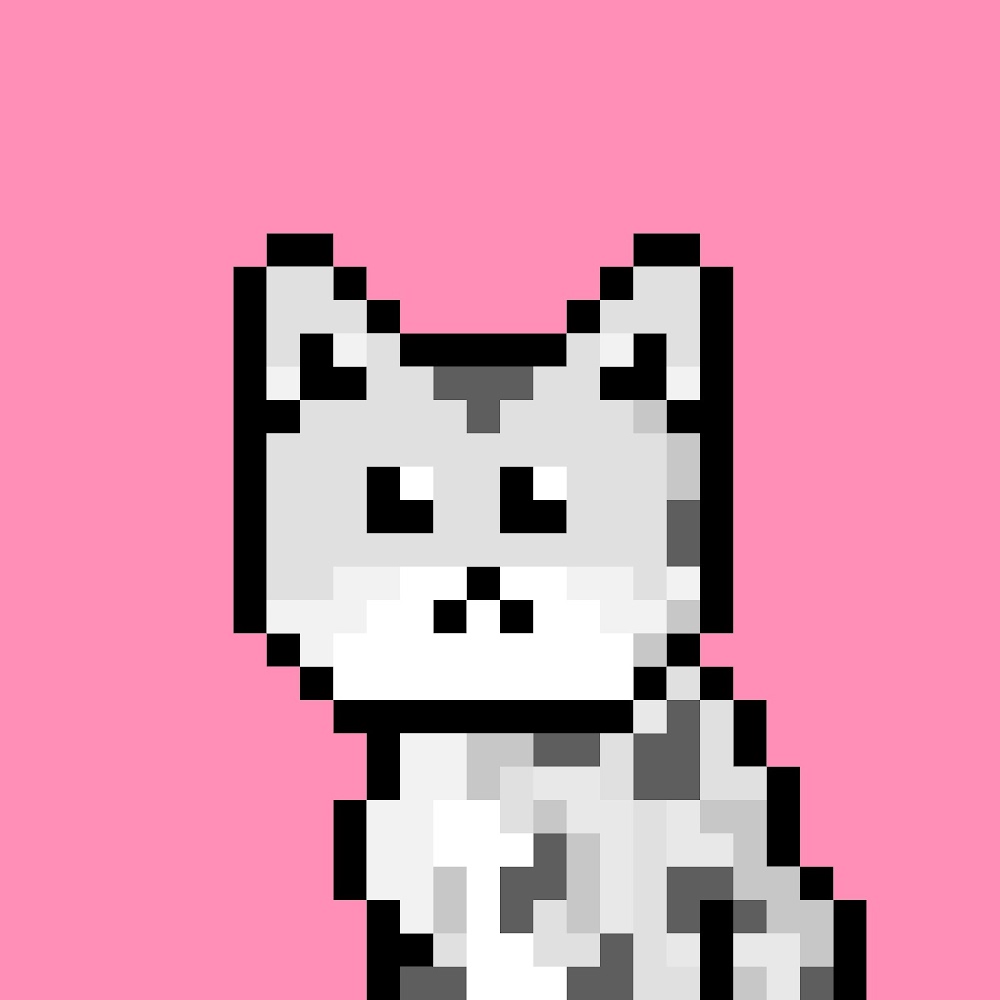 ♔𝒫𝐵 ♡ tweet media