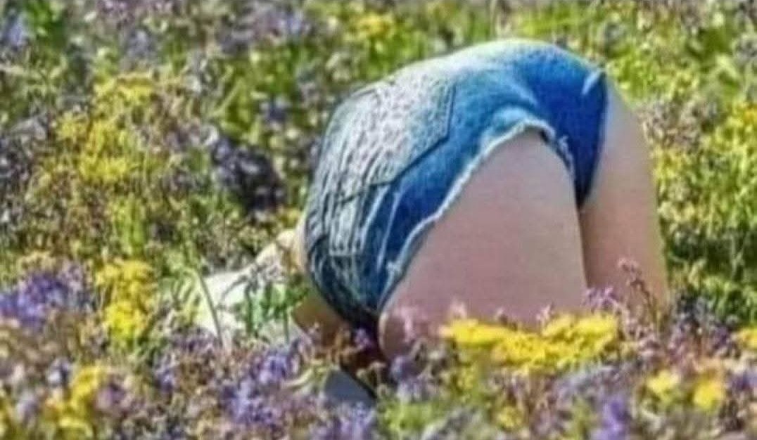 Evlyne Metal (Officiel)🇨🇵🇬🇱 tweet media