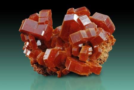 Páginas Mexicanas tweet media