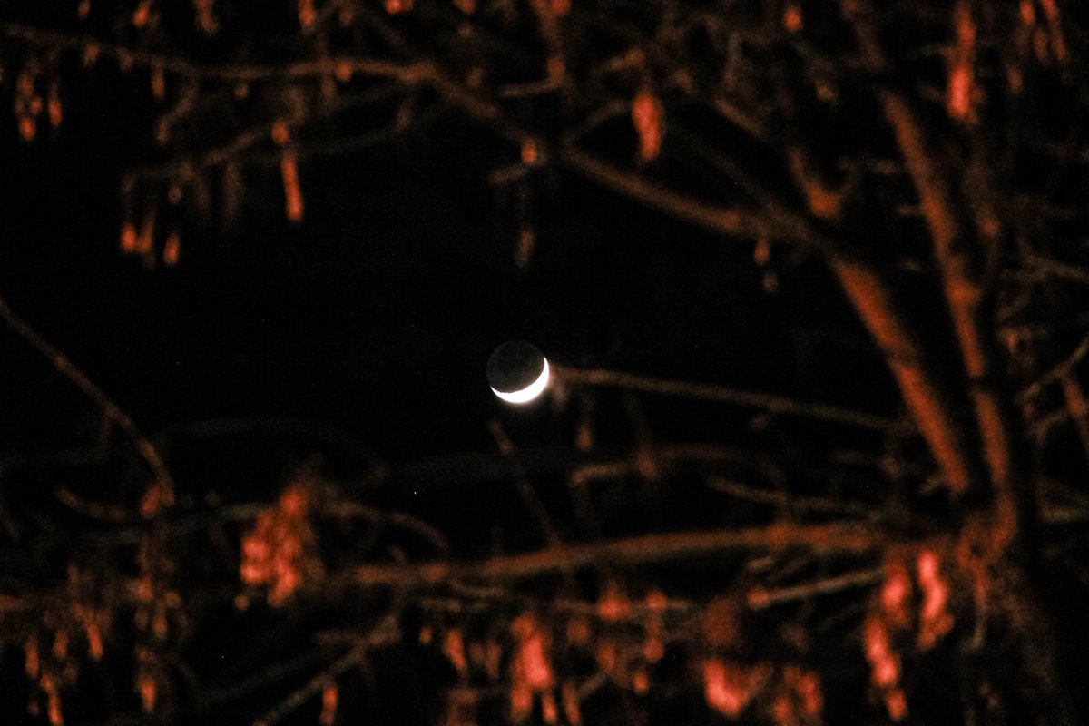 alaska_cw tweet media