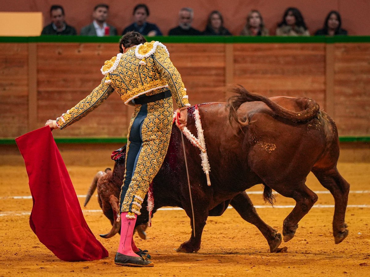 Andrés Roca Rey tweet media