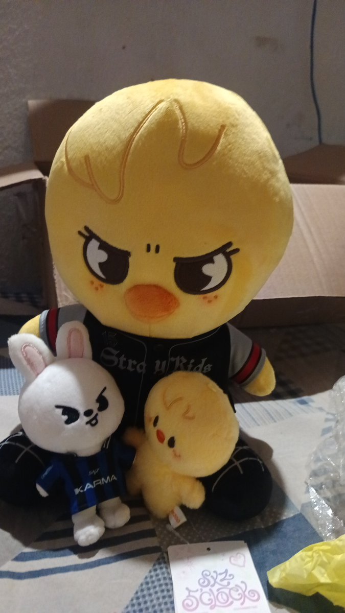 Roniii | Do It 🏳️‍⚧️ Vai ver o SKZ pela 3x tweet media