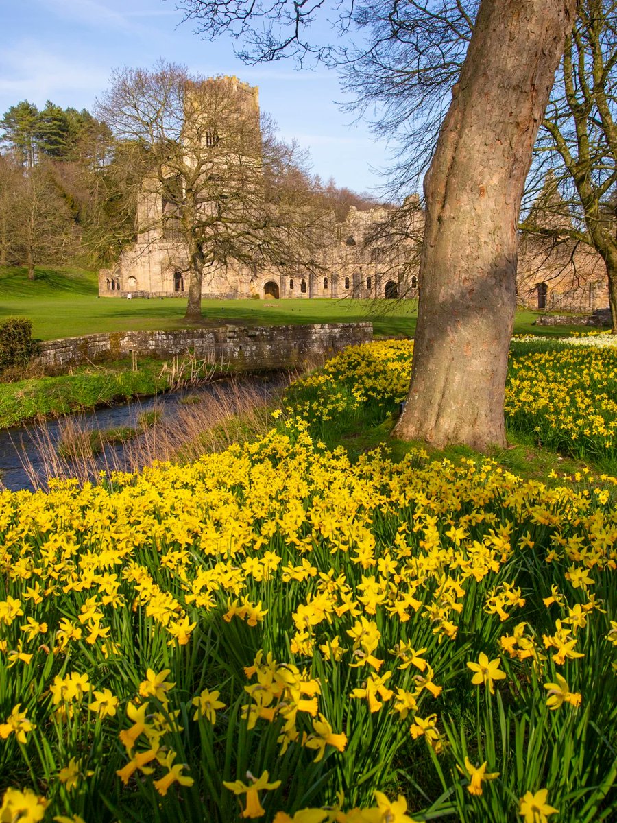 Purely Green tweet media