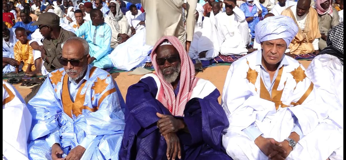 Geelel 🏔️🧪 tweet media