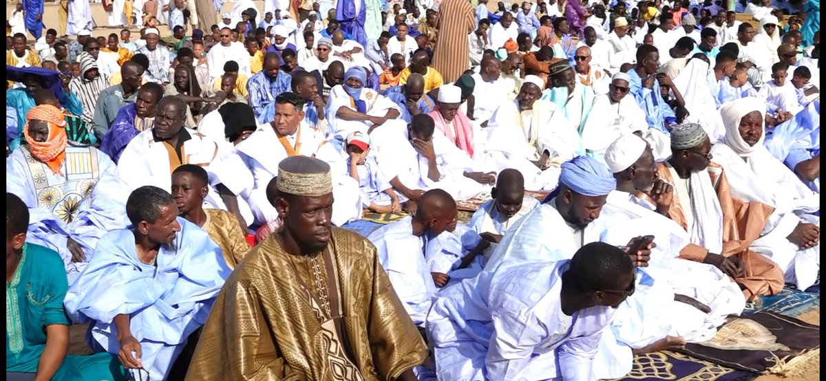 Geelel 🏔️🧪 tweet media