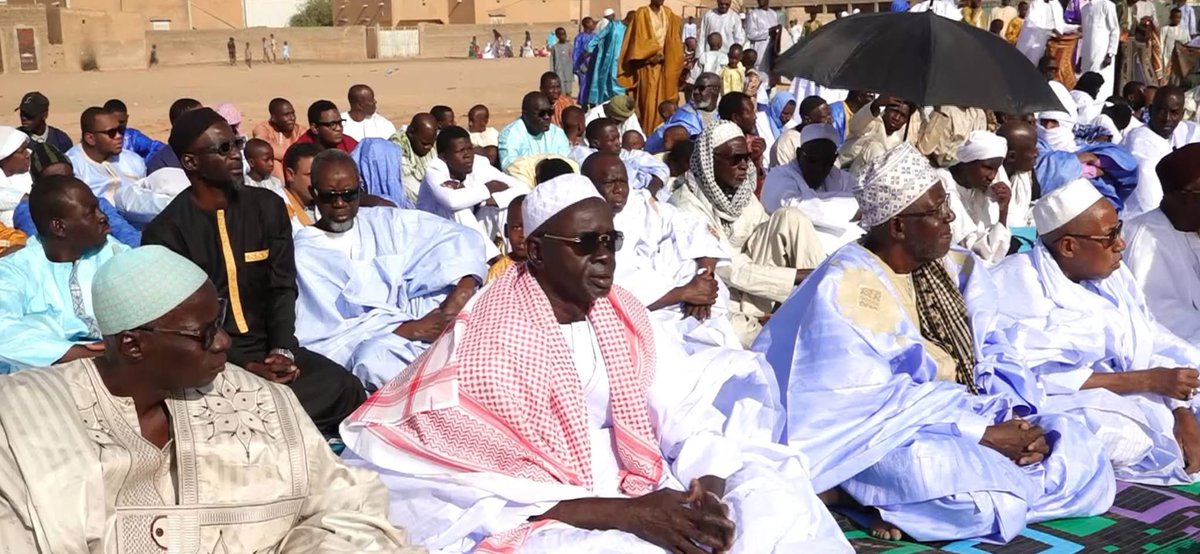 Geelel 🏔️🧪 tweet media