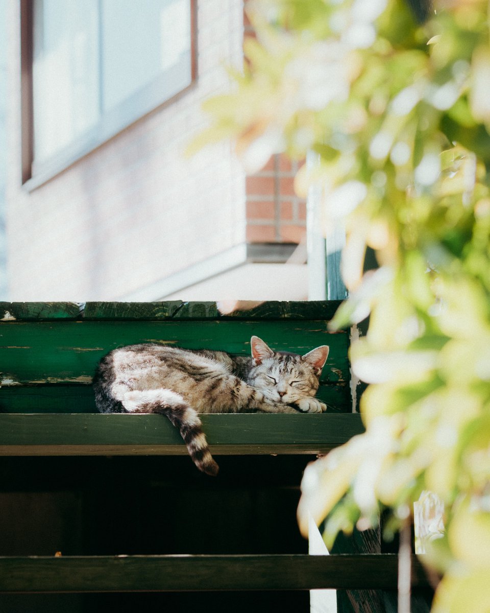 Purely Green tweet media