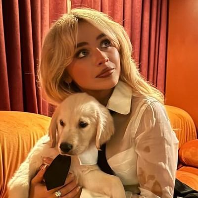 ela of the quiet grief🇹🇷🐺 tweet media