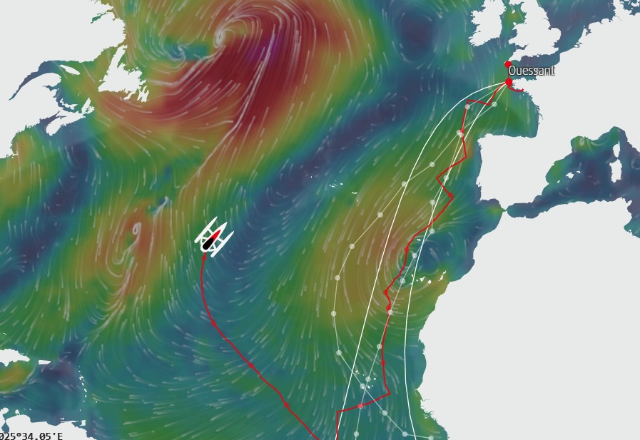 Ultim Boat tweet media