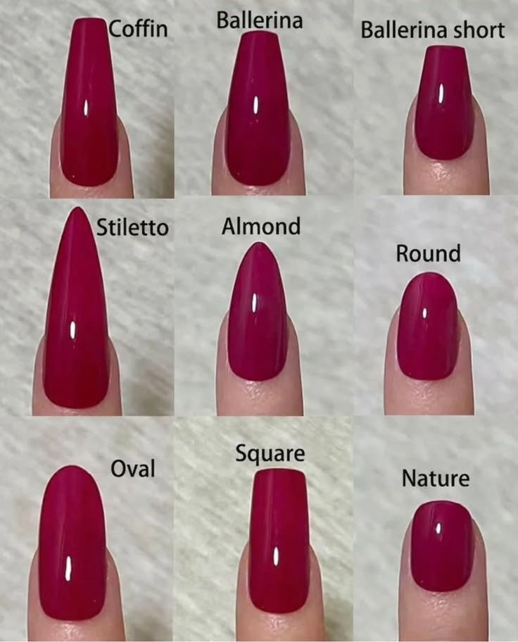 FIFI🌟 tweet media