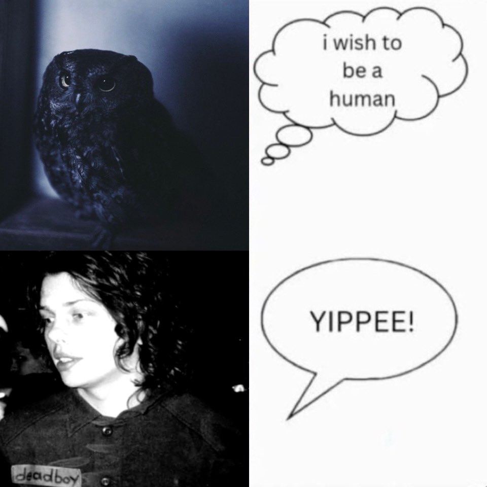 julia ⛧ tweet media