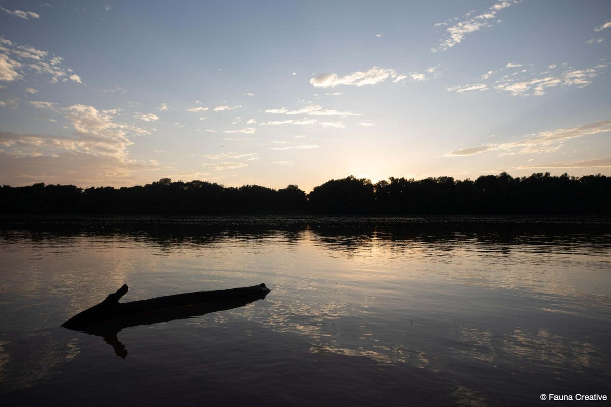 The Nature Conservancy tweet media