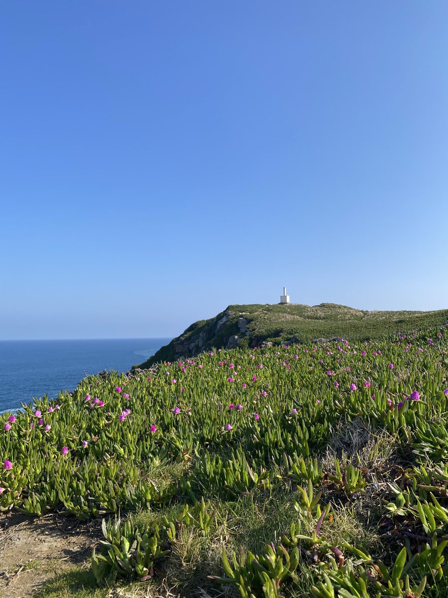 lucía ౨ৎ tweet media