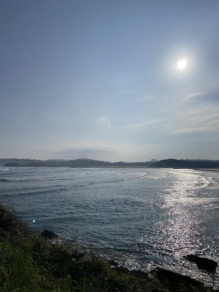 lucía ౨ৎ tweet media