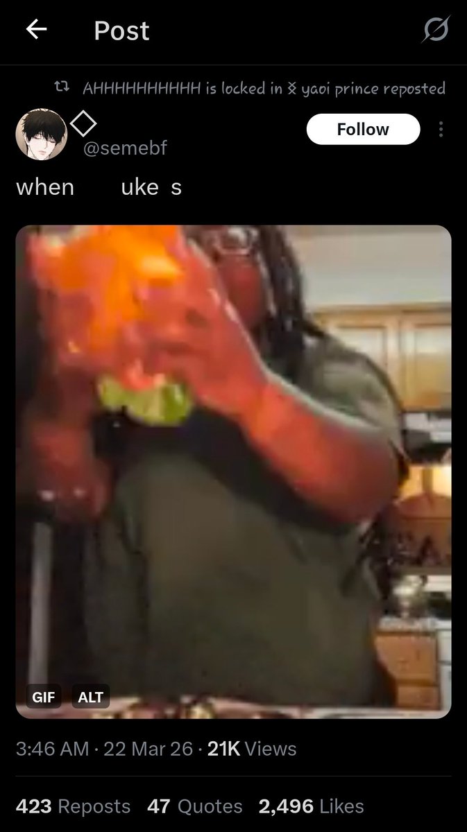 🕊 𝑺𝒕𝒂𝒓𝒓𝒊 𝒐𝒇 𝑺𝒉𝒆𝒅𝒕𝒘𝒕 ⚰️ tweet media