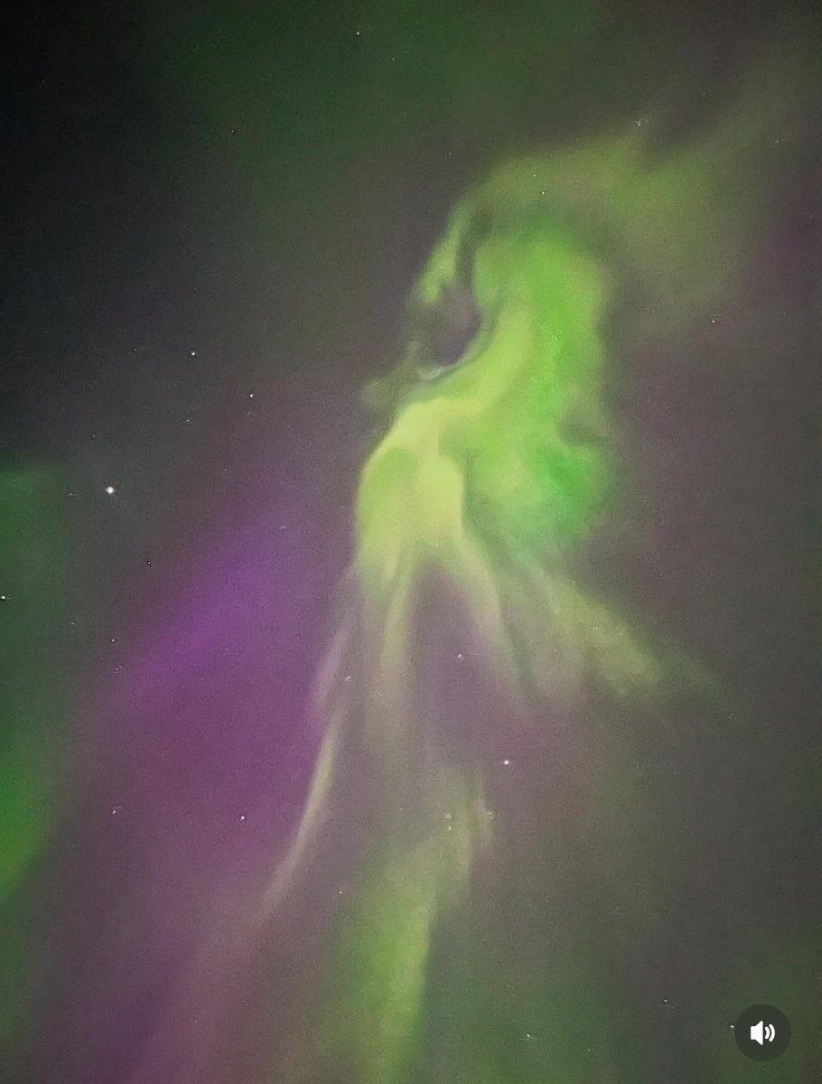 Taija Myyrä tweet media