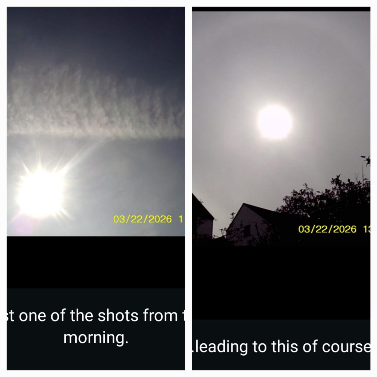 Andrew Bridgen tweet media