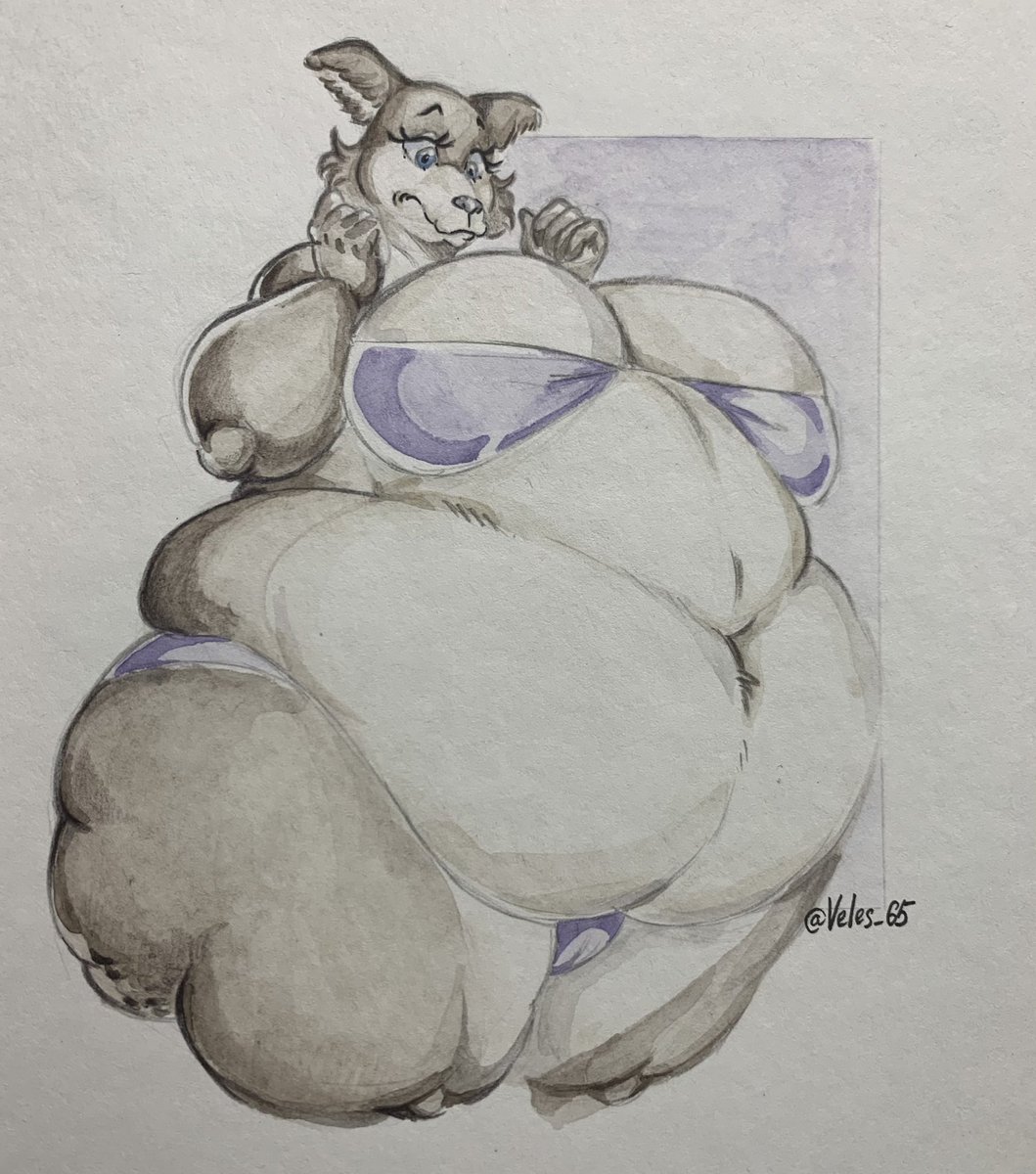 Veles (comms closed) tweet media