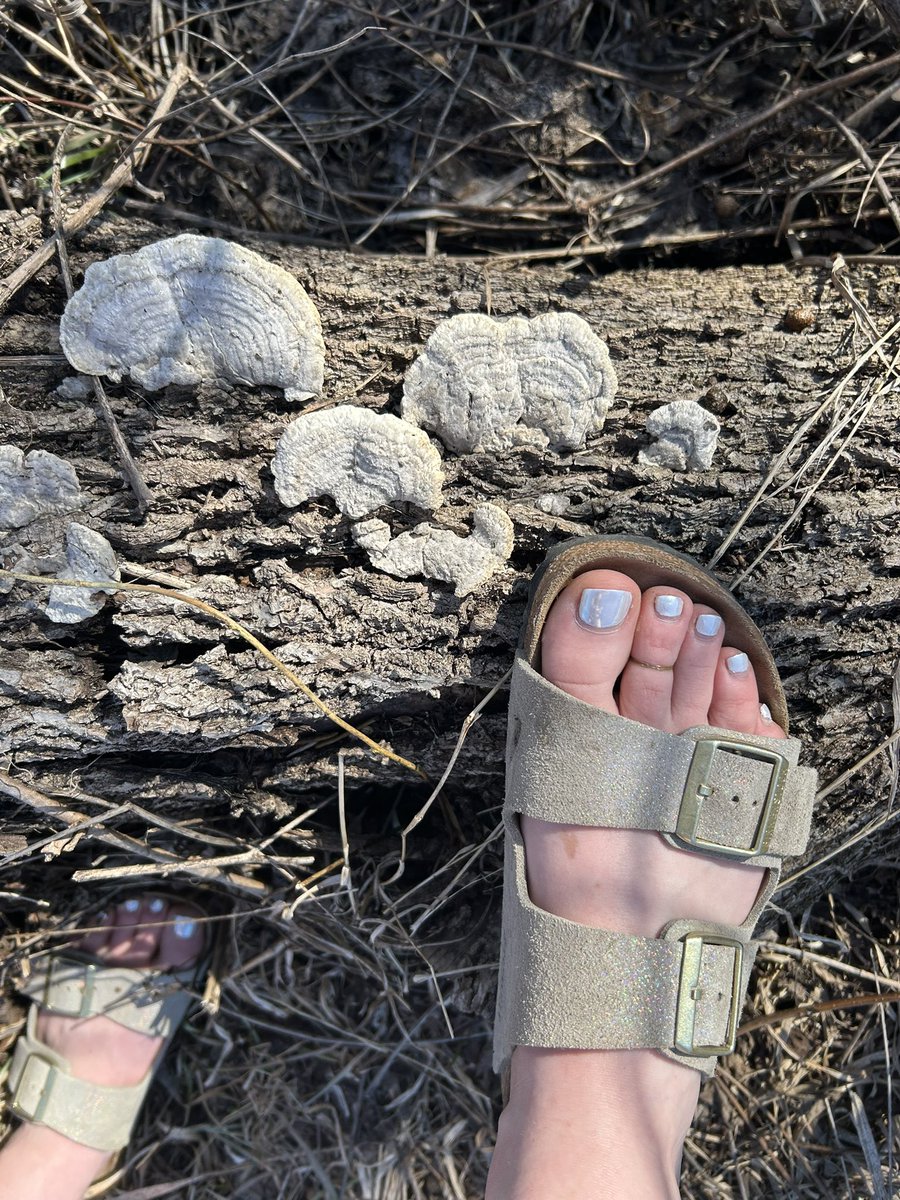 Kinkerbell - CHICAGO 06/12-06/14🧚✨ tweet media