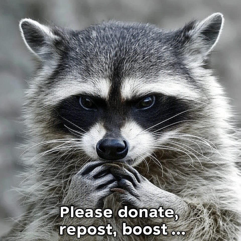 Rita van der Wal (back up account)🎗 tweet media