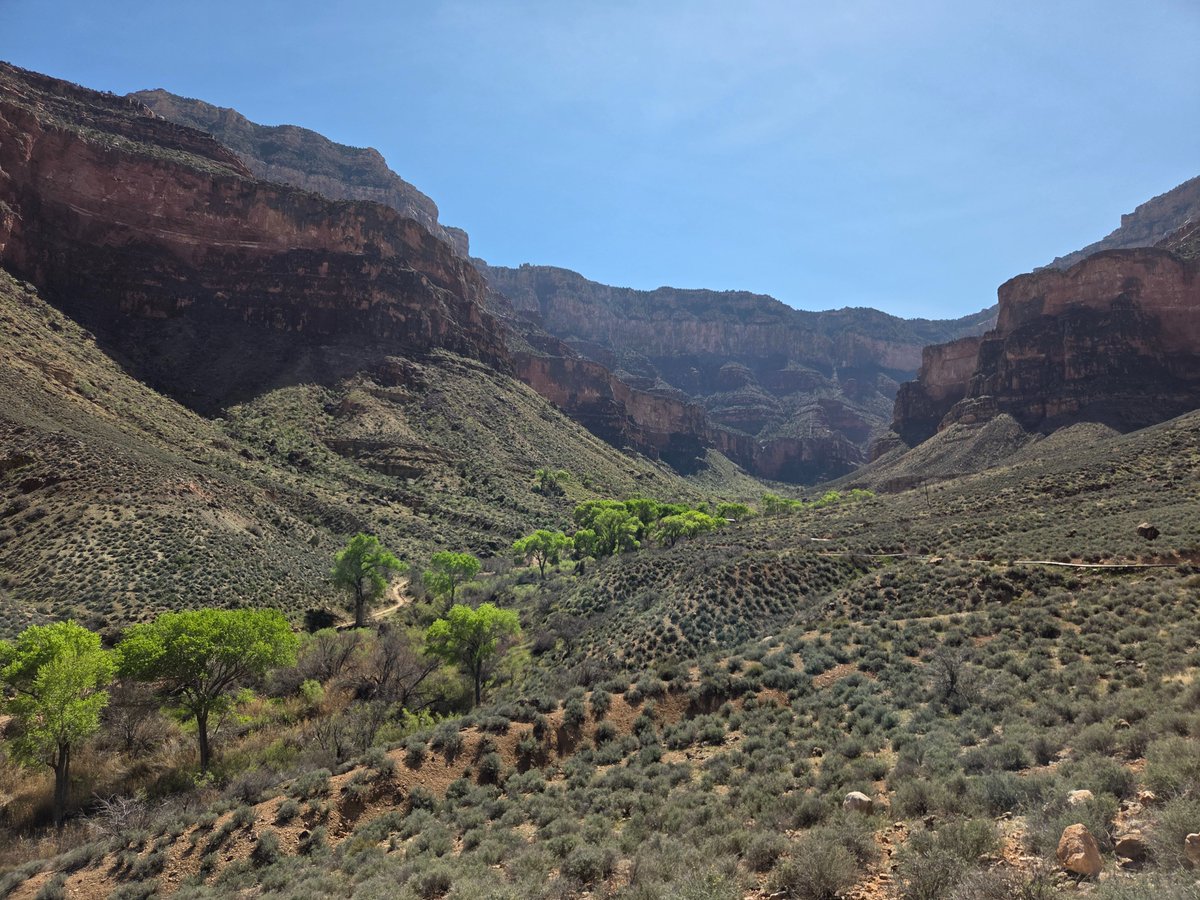 Jeremiah tweet media