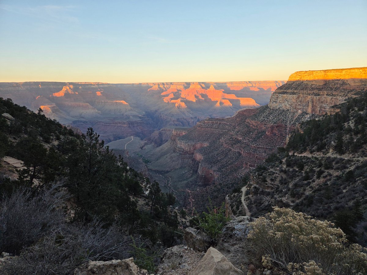 Jeremiah tweet media