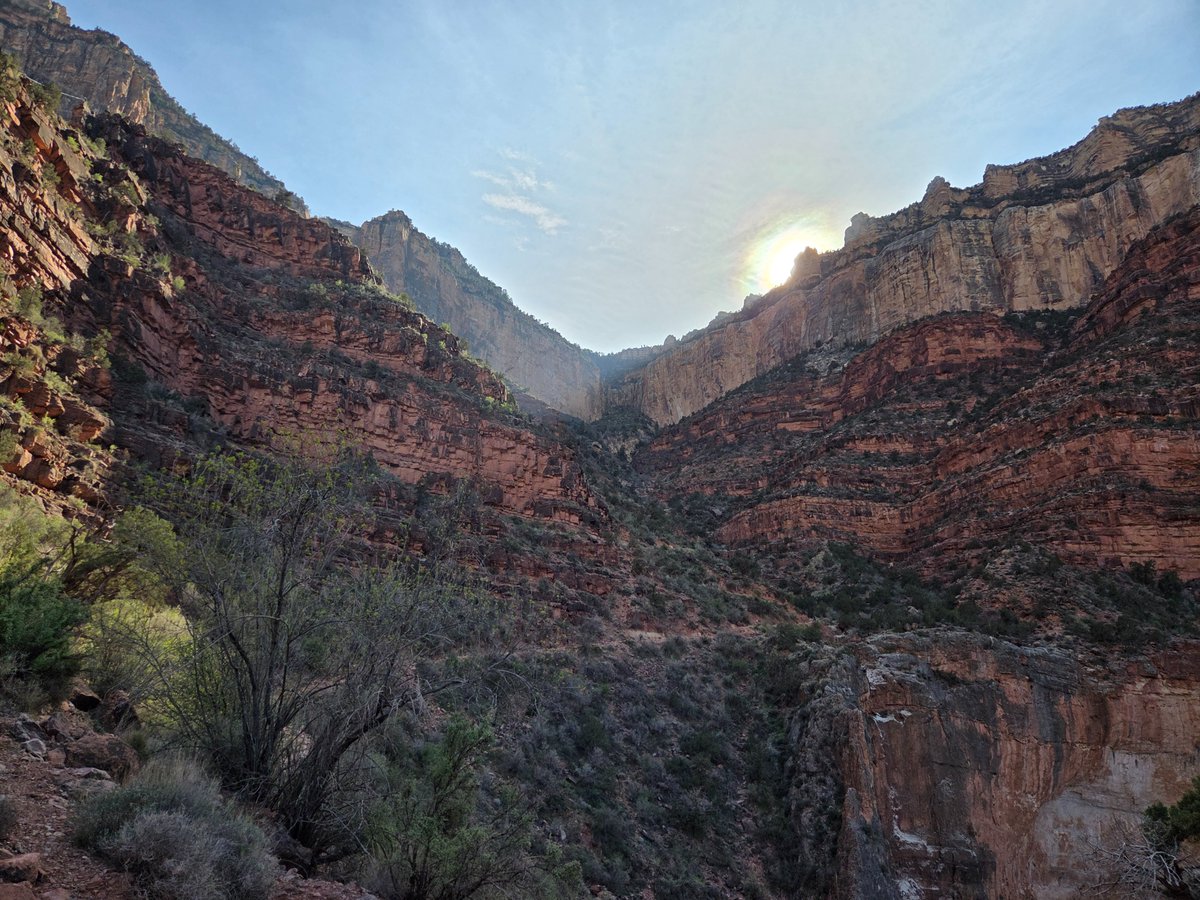 Jeremiah tweet media