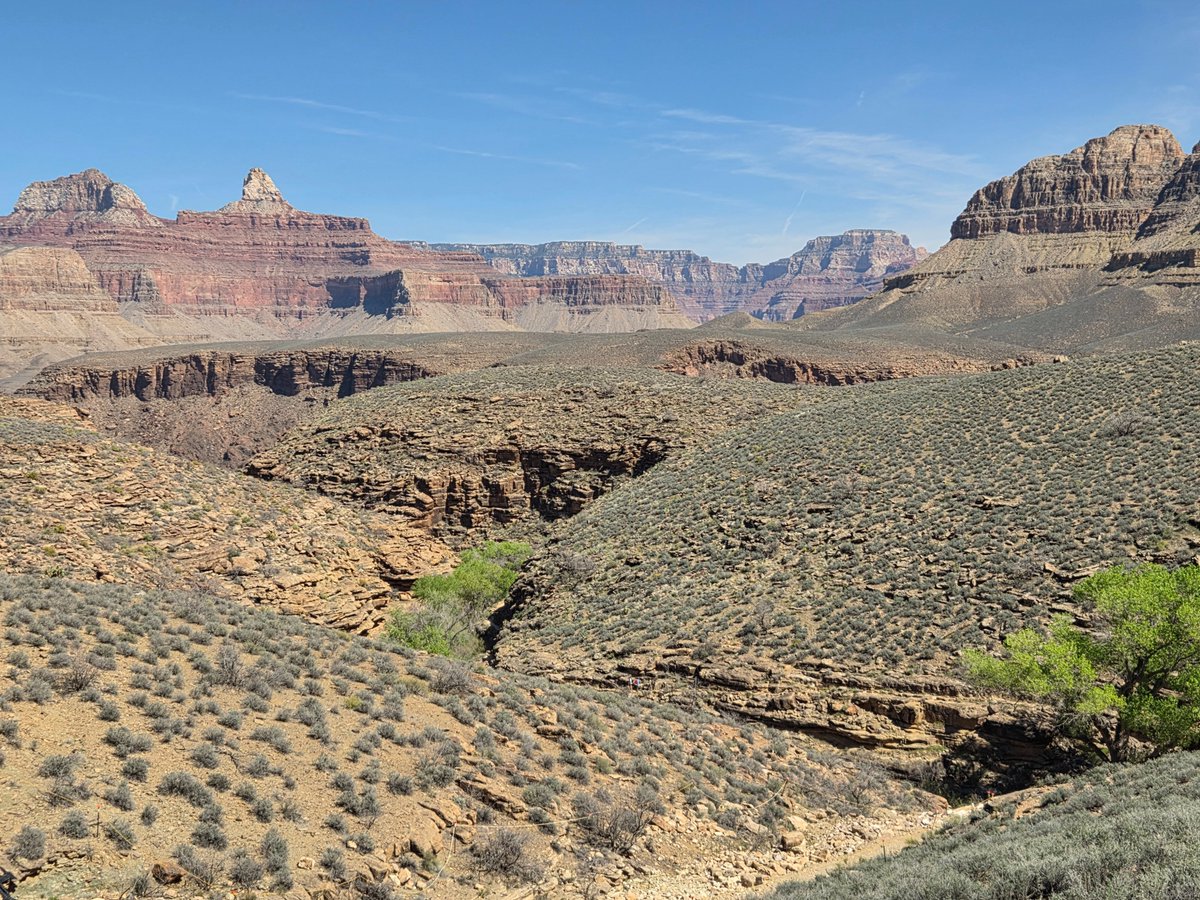 Jeremiah tweet media