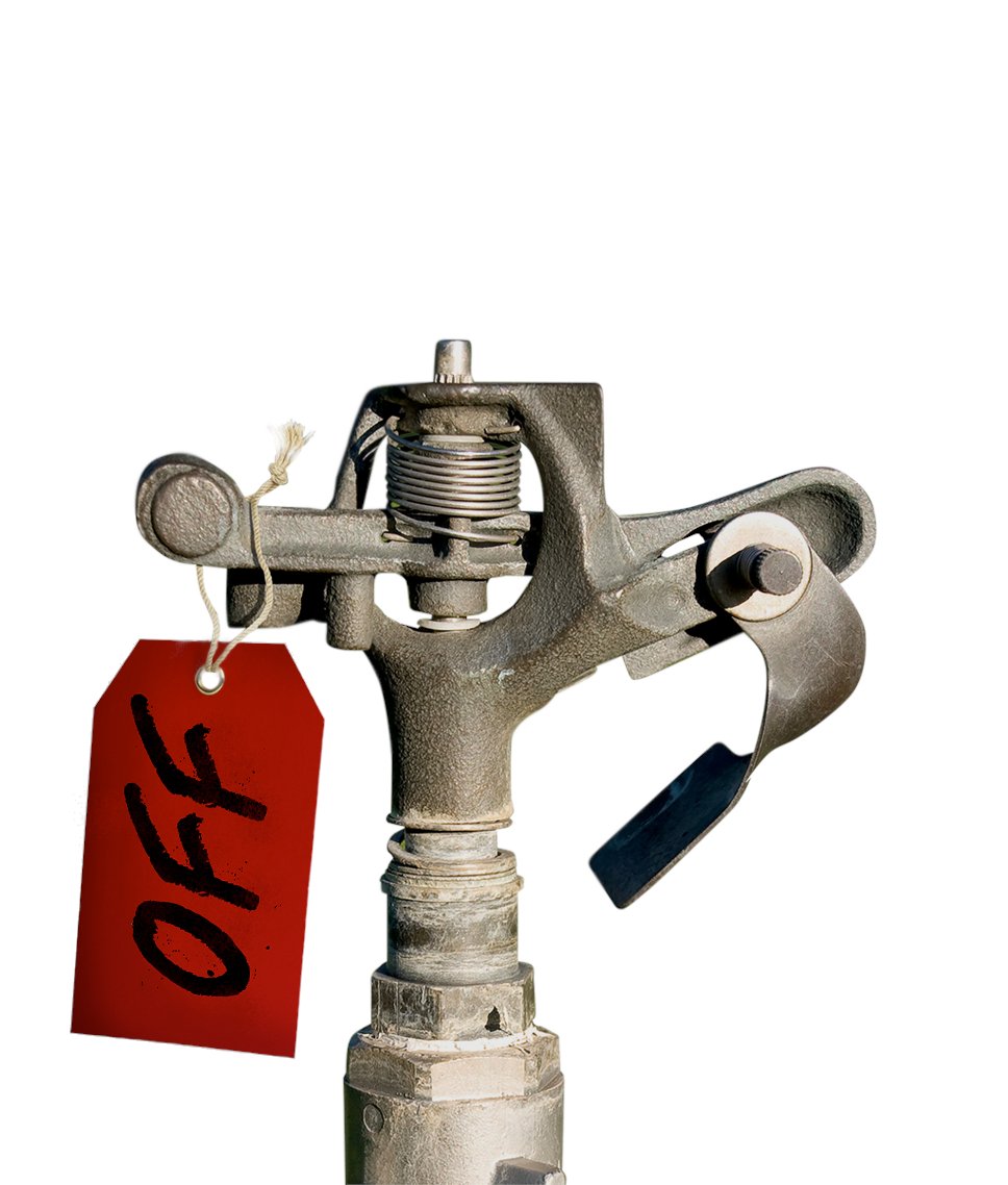 TifTuf Turfgrass - Official Account tweet media