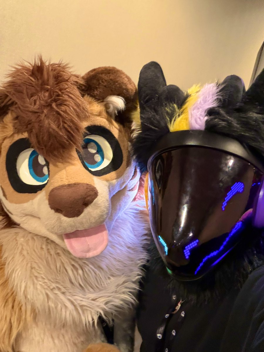 Diamond 🦨 tweet media