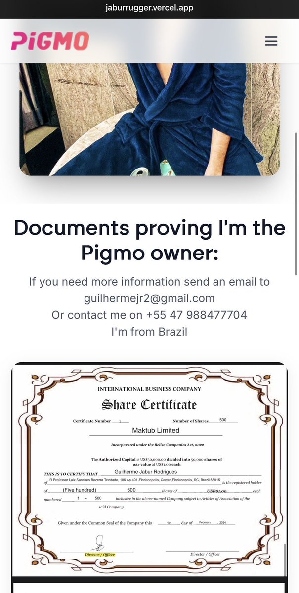 Kevin Pigmo 💎 tweet media