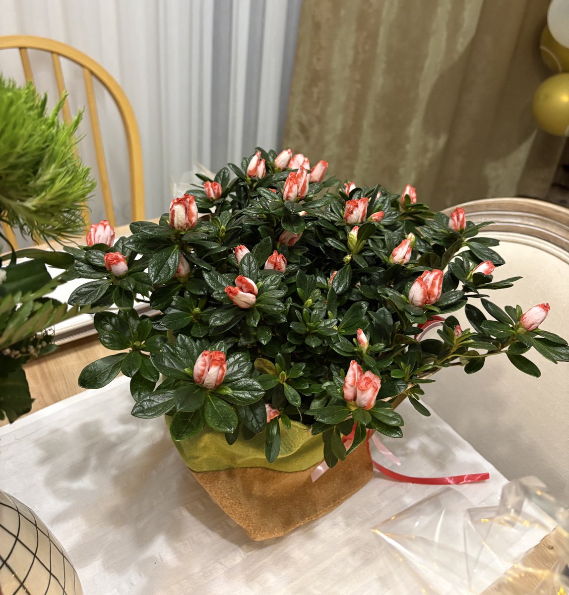 بنت محمد tweet media