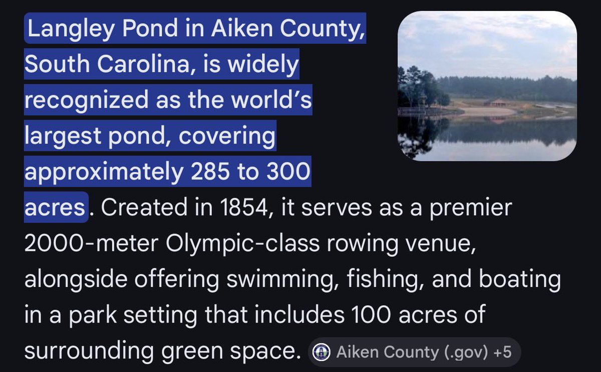 The Wonton Don tweet media