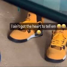 Alligator tweet media